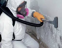 Best HVAC Mold Inspection and Cleaning in Oakton, VA